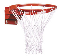 FT194TA Breakaway Basketball Rim